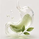 Digestion