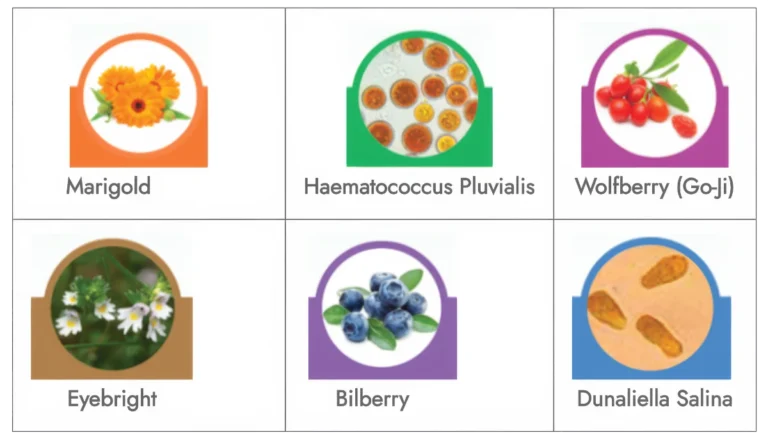 Nutrients For The Maintenance of Healthy Eyes