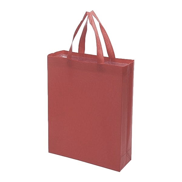 A4 Non Woven Bag - Maroon
