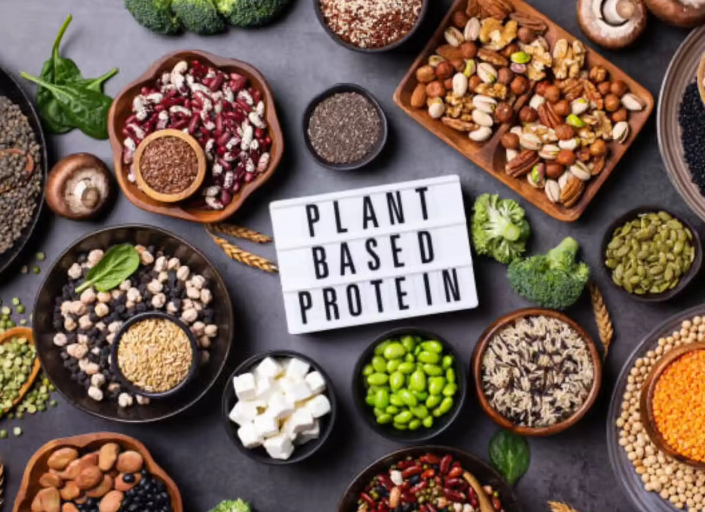 Grow tall and strong with plant protein