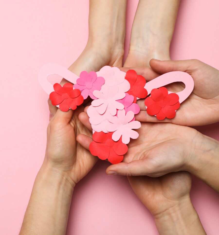 Red Clover: My Natural Helper for Menopause