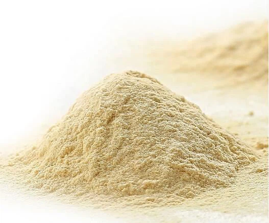 Yeast