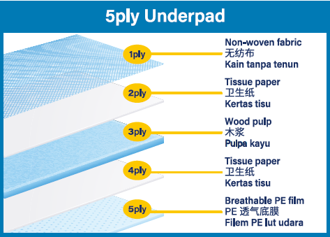 5PLY